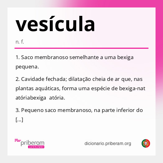 
   Significado de vesícula